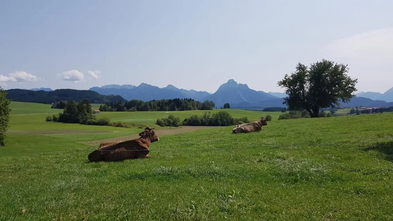 Ferienwohnung Linder Hopferau 0*,